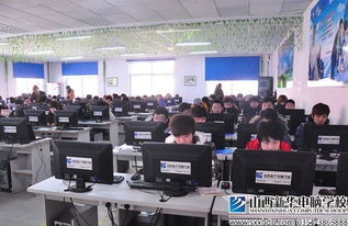 行业前景成择业关键 大学生为何青睐计算机信息技术咨询服务