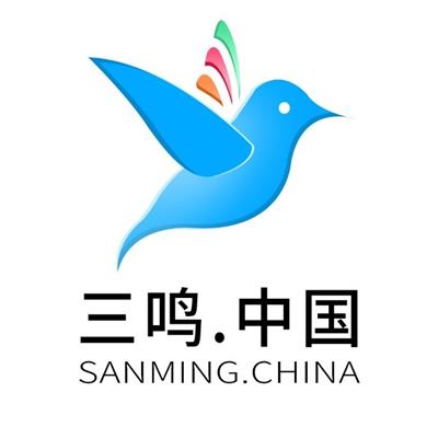 中国网站制作黄页名录 从公司选择到信息技术咨询服务全景